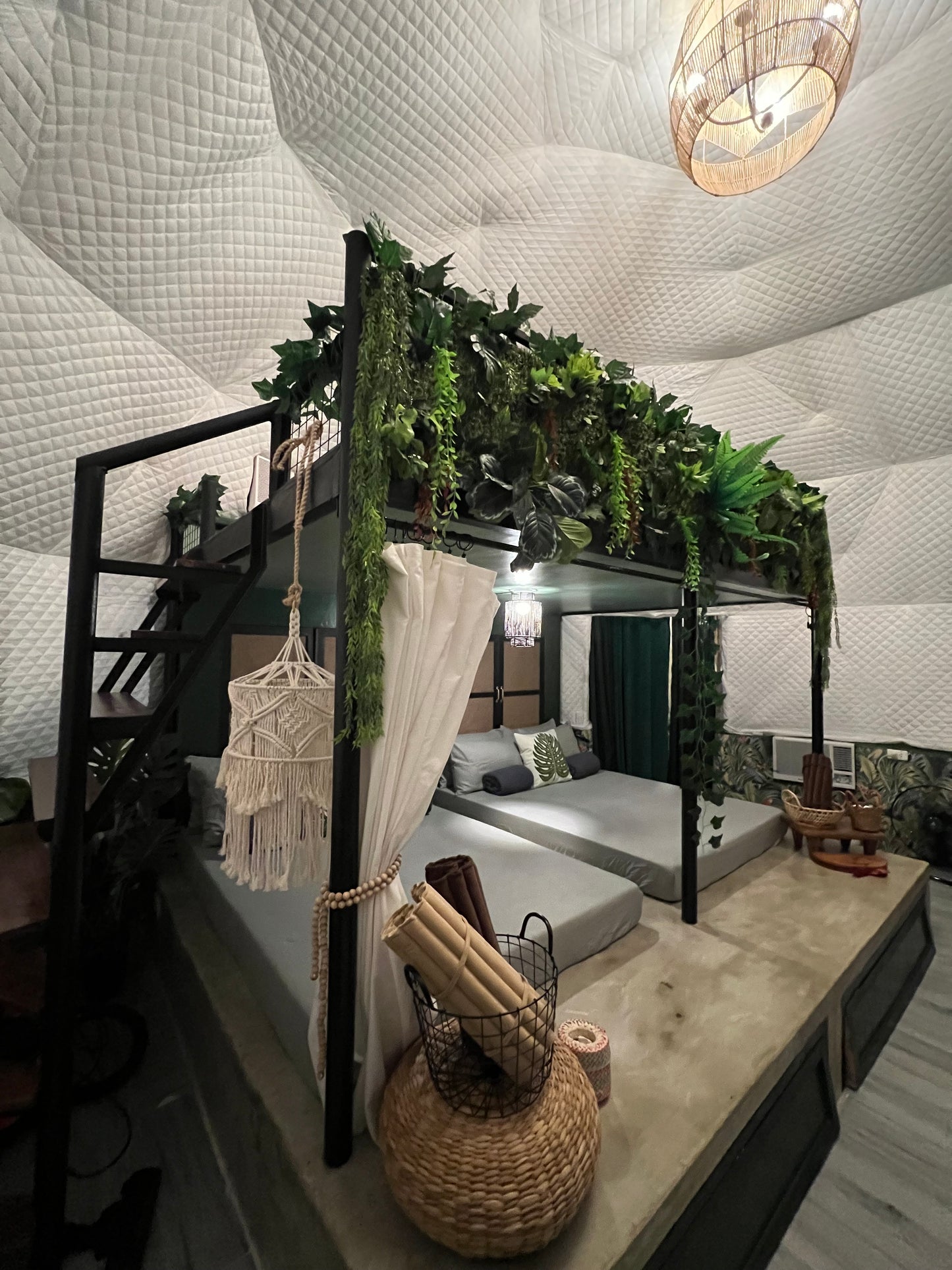 Dome 5 - Amaia