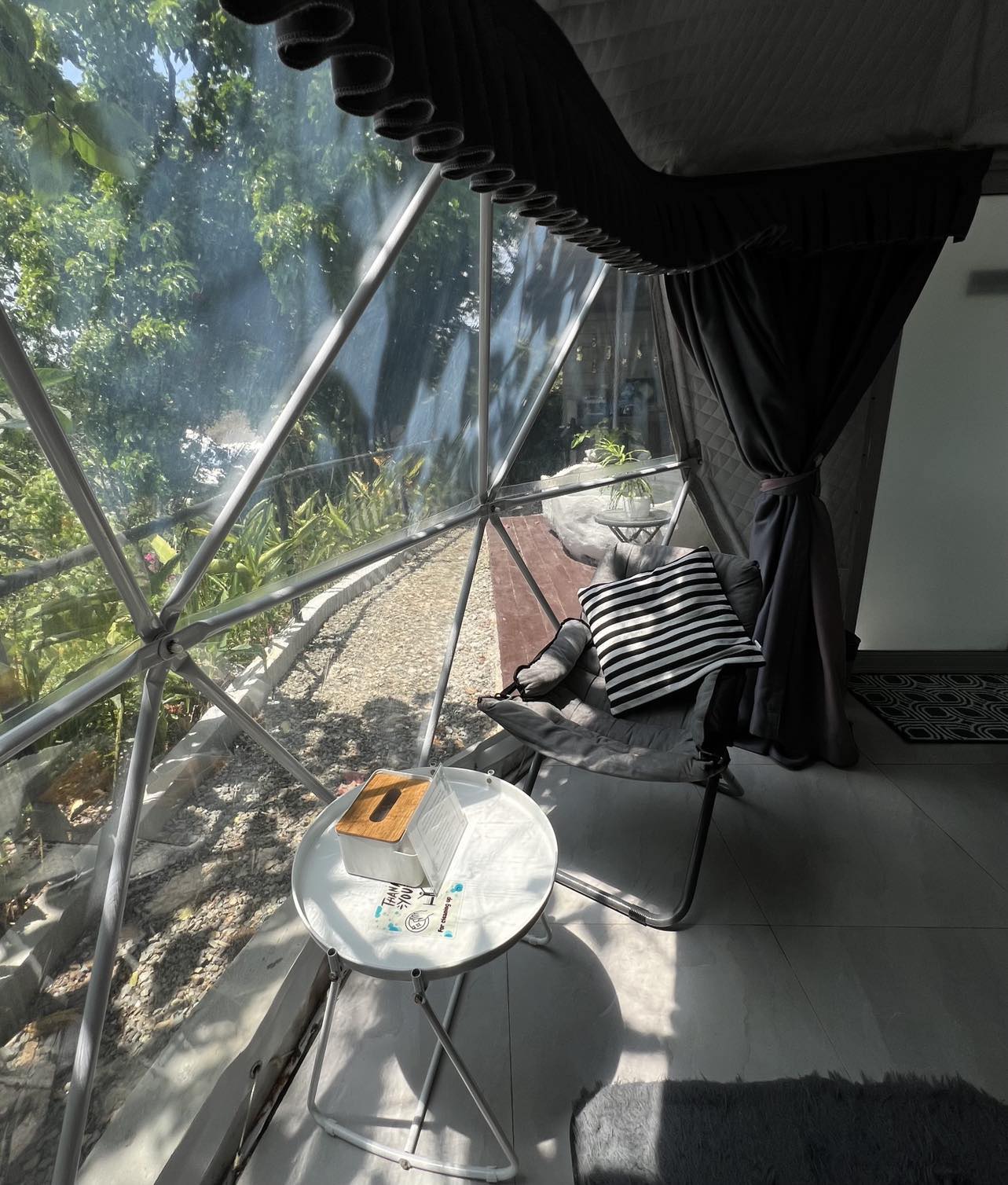 Dome 3 - Alfonso