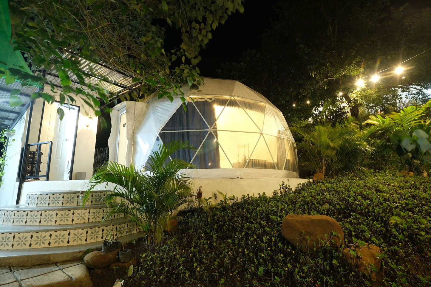 Dome 1 - Stella