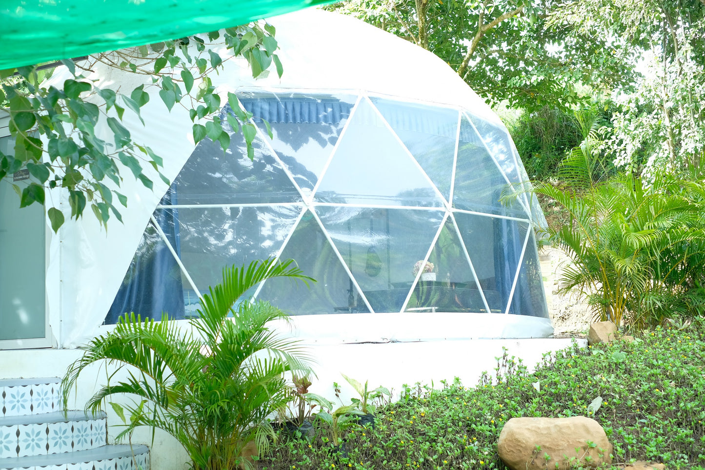 Dome 1 - Stella