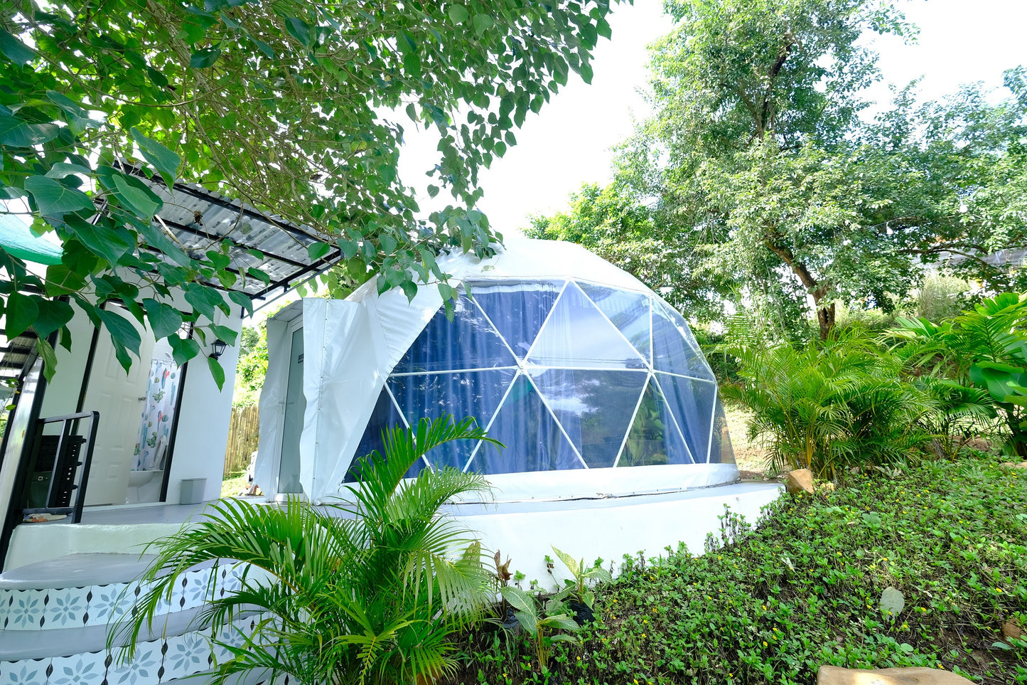 Dome 1 - Stella