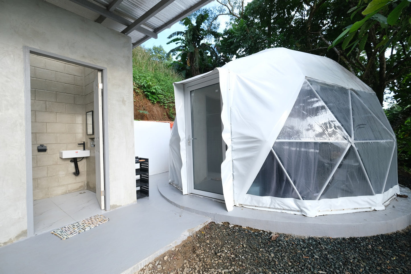 Dome 3 - Alfonso